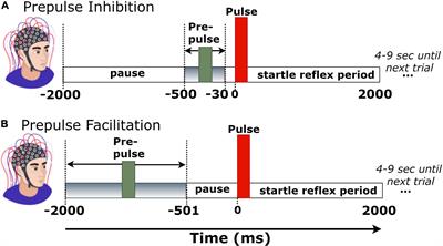 Evaluating the Modulation of the Acoustic Startle Reflex in Children and Adolescents via Vertical EOG and EEG: Sex, Age, and Behavioral Effects